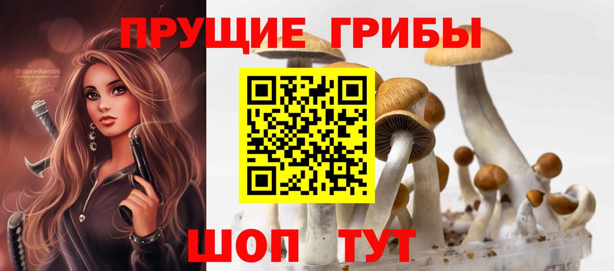 Шатура  Псилоцибиновые грибы прущие грибы  Вход с VPN 